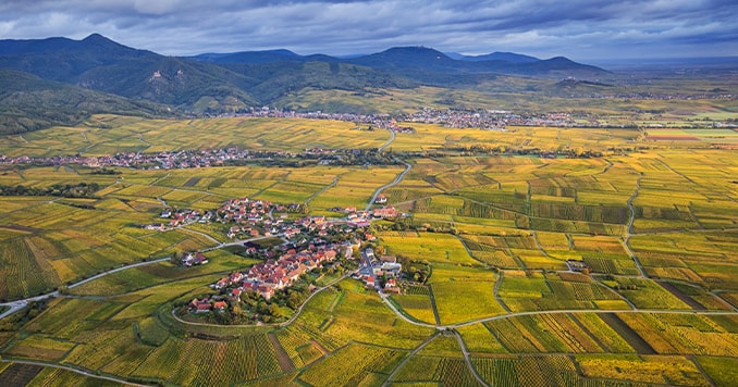 Vignoble alsacien
