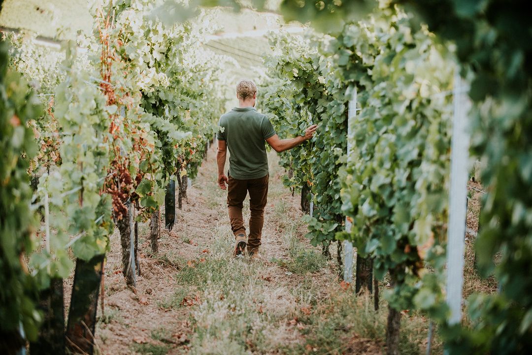 Domaine Sainte Joie