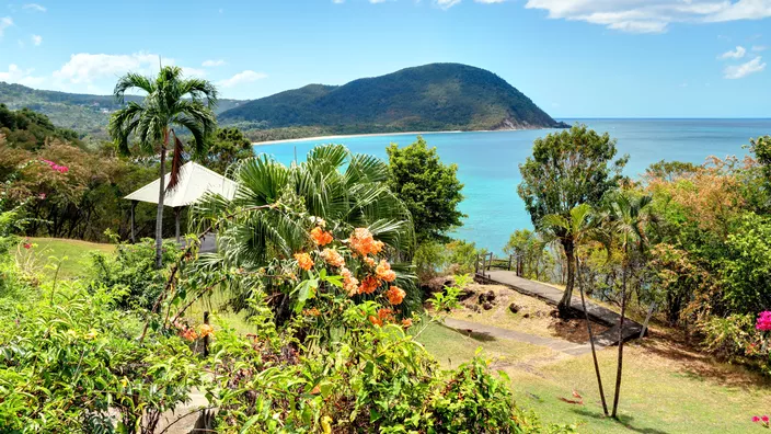 «Rendre la France incontournable pour les amateurs de spiritueux» : la Guadeloupe veut lancer sa route des rhums